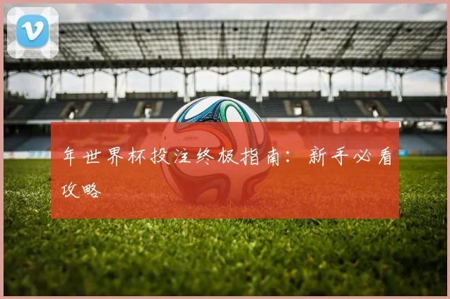 年世界杯投注终极指南:新手必看攻略