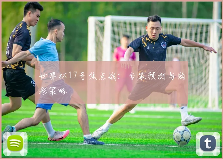 世界杯17号焦点战:专家预测与购彩策略