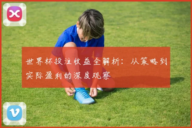 世界杯投注收益全解析:从策略到实际盈利的深度观察