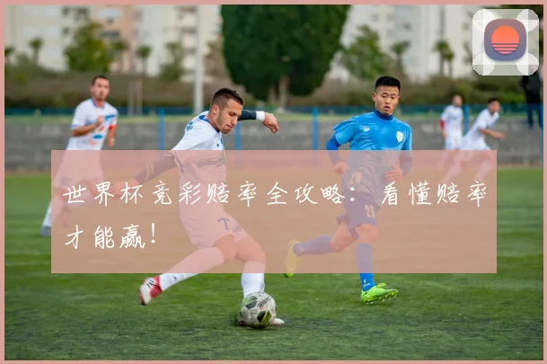 世界杯竞彩赔率全攻略：看懂赔率才能赢！