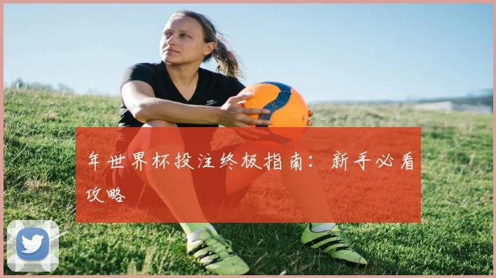 年世界杯投注终极指南:新手必看攻略