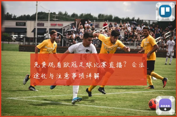 免费观看欧冠足球比赛直播？合法途径与注意事项详解