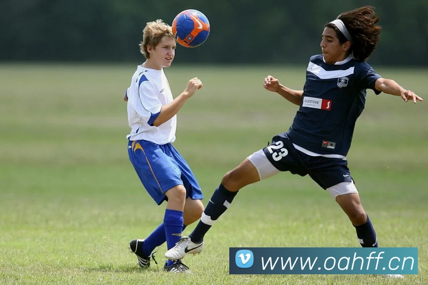 mk恩波利体育平台生态图