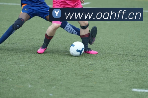 mk恩波利体育全站App